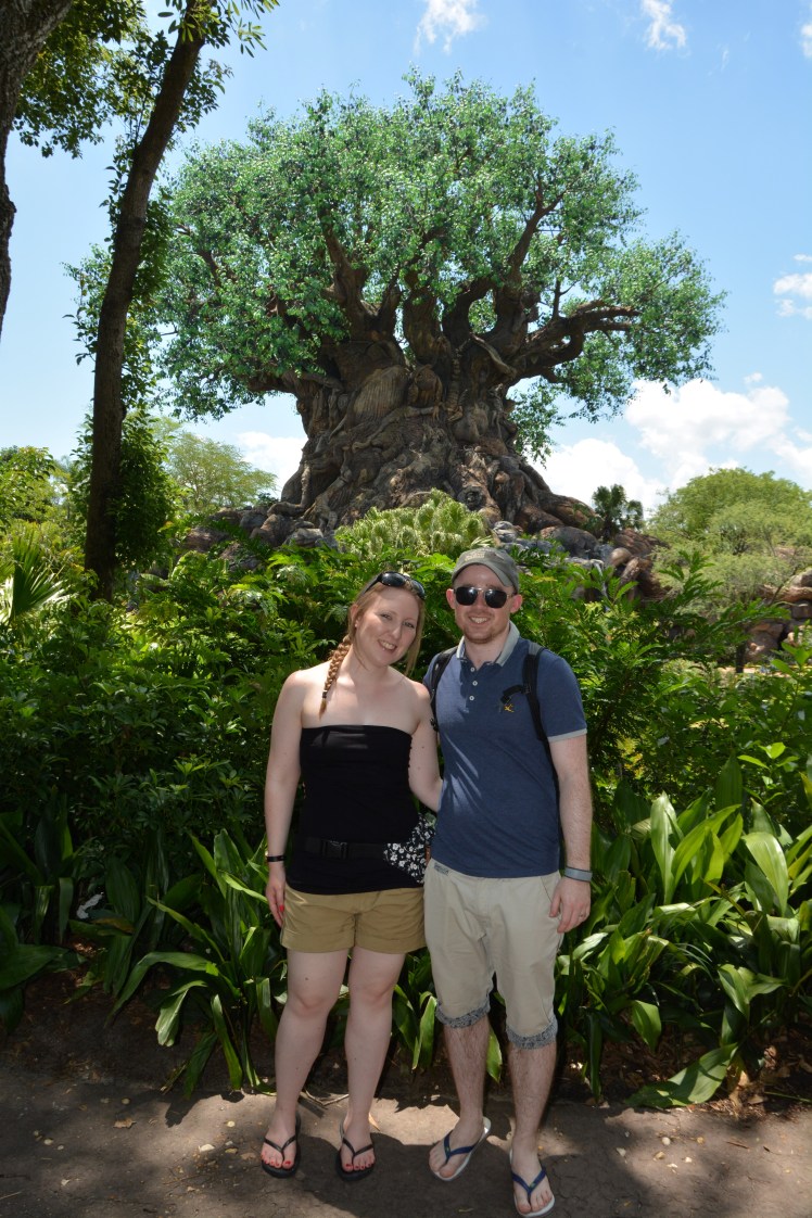 wdw2016146472900381_7696930538_dsnyRes-base_dsnyLoc-reg